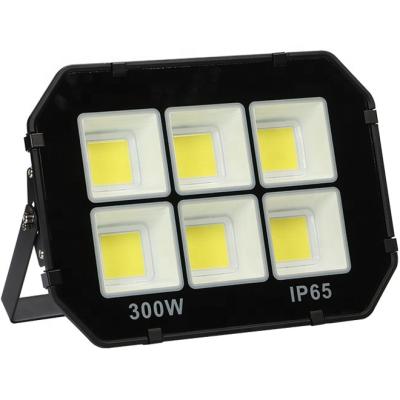 China LANDSCAPE 220V 240 Watt COB 50W 100 Watt 300W LED Flood Lamp Light 400W Outdoor Cool White for sale