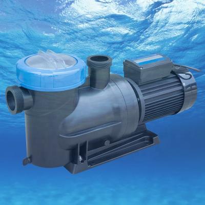 China Hot Selling 2 Inch Water Treatment Solutions Pump For Water Swimming Pool High Quality Pump for sale