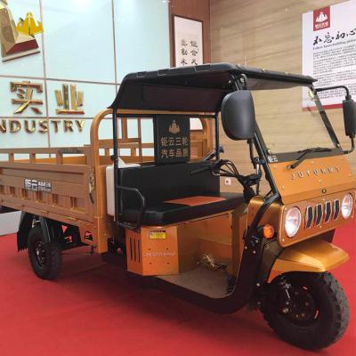 China JUYUN 150CC 200cc Custom Gasoline Motorized Cargo Trike Trike for Loading Cargo for sale