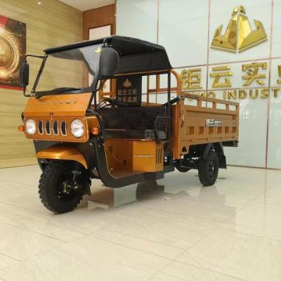 China Cargo 2021 Heavy Duty Three Wheel Electric Cargo Tricycle Gasoline Cargo Trike Tricycle Bike Cargo for sale