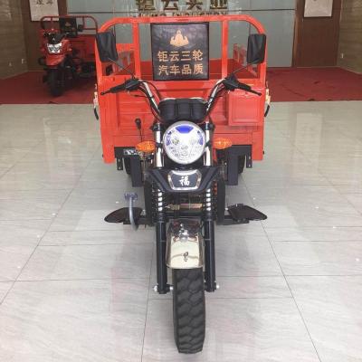 China Cargo Adult Motorized Tricycle 3 Wheel Cargo Tricycle Motorcycle 150cc Cargo Tricycle With Cargo Box Tricycle for sale