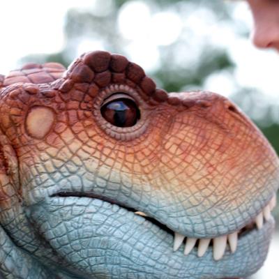 China Amusement park dinosaur hot-selling animatronic model for sale