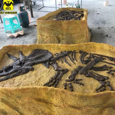 China Dinosaur Fossil Factory Amusement Park Triceratops Skeleton Zigong Dinosaur Living Triceratops for sale