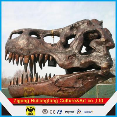 China Amusement Park T-rex Skull Museum Fossil Reproductions for sale