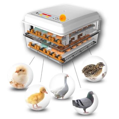 China Fully Automatic Multifunctional Egg Incubator Household Brooder Farm Chicken Incubator Bird Egg Incubator for sale