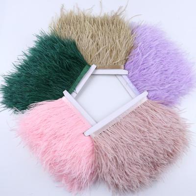 China Decorations Wholesale Feather Trim Ostrich Feather Trim Dress Fabric for sale