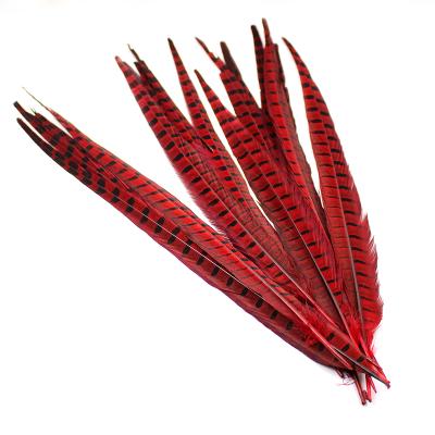 China Wedding Factory Custom Color 10-70cm Ringneck Pheasant Tail Feather for sale