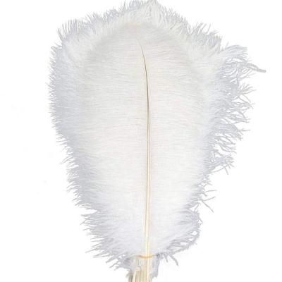 China Wholesale Custom Ostrich Feather Fluffy Color Ostrich Feather For Wedding Centerpieces for sale