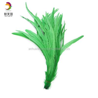 China Wedding rooster wholesale high quality colorful tail feather 25-45cm long for sale