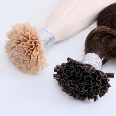 China TopElles Factory Supply Image Virgin U Tip European Curly Hair Extension Highest Quality Hair Extension for sale