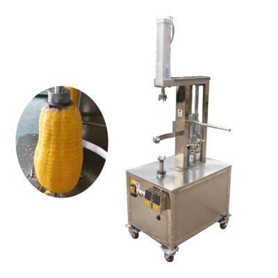 China Commercial Fruit Processing Plant One Head Pumpkin Peeling Machine For Vegetable Skin Remover for sale