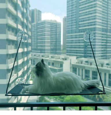 China Breathable Suction Cup Mat Pvc Board Mesh Bed Cat Hammock Seat Resting For Cats Kitten for sale