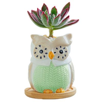 China Creative Sustainable Owl Ceramic Cartoon Animal Flowerpot Home Succulent Gardening Colorful for sale