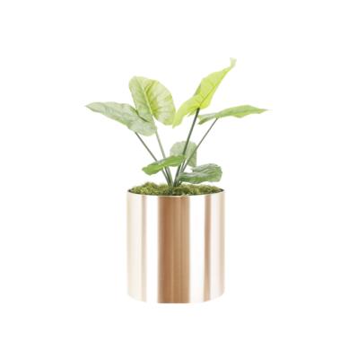 China Wholesale Home Indoor Cast Iron Metal Stand Gold Garden Flower Pot For Plants for sale