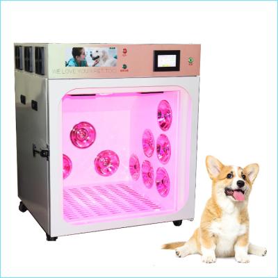 China Small Animals Automatic Dog Cat Animal Hair Dryer Room Box Cabinet Dryer for sale