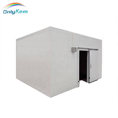 China Container Cooler Energy Saving Cold Room Beef Meat Sea Cucumber Walk-in Refrigeration Plant for Fruit and Vegetable Cold Room for sale