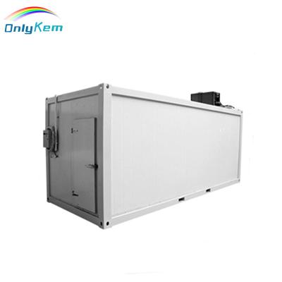 China 20ft container container cold room freezer for fish for sale