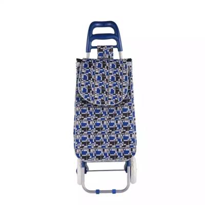 China Durable Custom Logo Portable Trolley Supermarket Shopping Trolley Two Wheels High Quality Shopping Trolley for sale