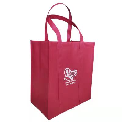 China Eco-Friendly Eco-Friendly PP Non Woven Shopping Bag for sale