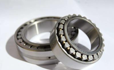 China SL045052PP Cylindrical Ro /ROLAMENTO  SL045052PP  / SL045052PP    cylindrical roller bearings for sale