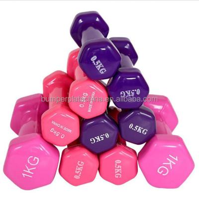 China Custom Colored Vinyl Plastic Dumbbell Gym Equipment Neoprene Dip Dip Dumbbell for sale