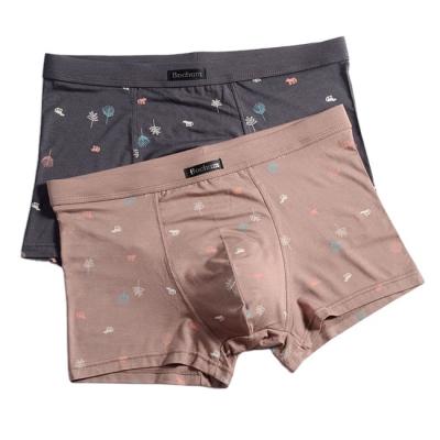 China 2022 Wholesale New Product Antibacterial Hot Design Boxer Shorts for sale