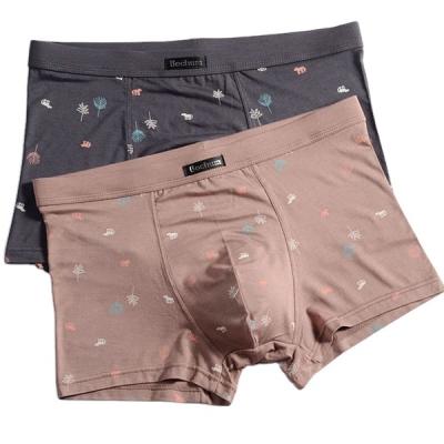 China Hot Selling High Quality Antibacterial Modern Fashion Underwear Antibacterial Man Shorts Panties For Men for sale