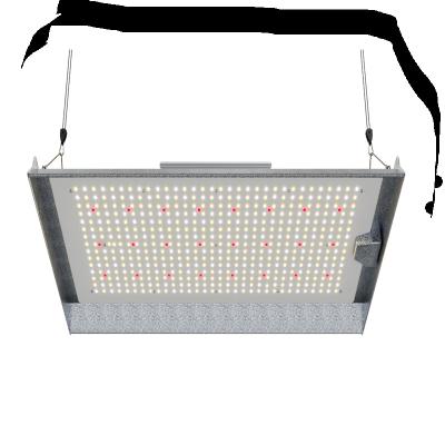 China Seed Starting Plant Led Plant Lighting Full Spectrum 2000w Led To Grow Light Dimmable Daisy Chain Function for sale