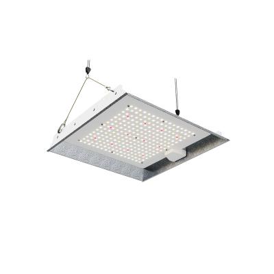 China Seed Starting Cheapest Full Spectrum To Waterproof To Grow Light 1000W High Power Led Garden Grow Light for sale