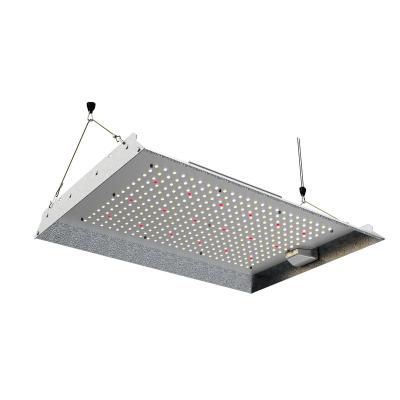 China Seed starting low price and quality guaranteed indoor full spectrum led grow light for sale