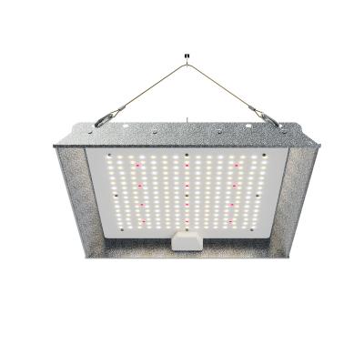 China Seed Seed Growing Hot Sale 100W Low Price Custom Factory LED Grow Light Kit for sale