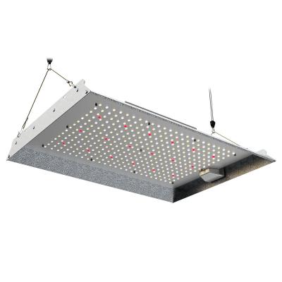 China Seed Starting LED TO GROW LIGHT 150W USA STORE DIMMABLE DAISH RANGE GROW LIGHT for sale