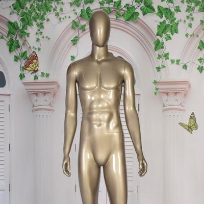 China 2019 Wholesale Hot Cheap Form Eco-friendly Shiny Full Body Champagne Man Male Mannequin Dress for sale