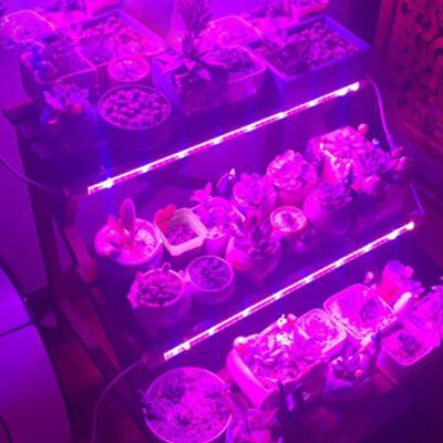 China Seed Starting T5 To Grow Lettuce Light NFT Microgreen Hydroponics Tube Lights 4ft Vertical Agricultural Full Spectrum 20W IP65 2ft Led Grow Light Bar for sale