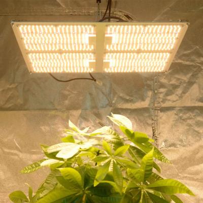 China Seed Starting 450W lm301h Grow Light IR UV Plant lm301b lm281b Lights Dimmable Greenhouse 240w Quantu Grow Light Led Indoor Plants for sale