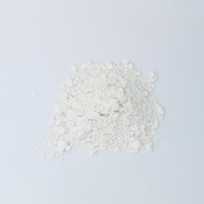 China Chemical Paper Chemical Sewage Anaerobic Bacteria Special Agent for sale