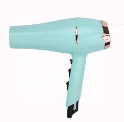 China Hot Selling D.C Hair Dryer Hairdressing Styling Hair Dryer Wholesale Ionic Light Quick Sale With Ionic for sale