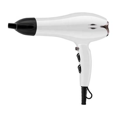 China Barber Hair Styling Tools Professional 2200w AC Motor Ionic Lightweight Salon Hair Dryer for sale