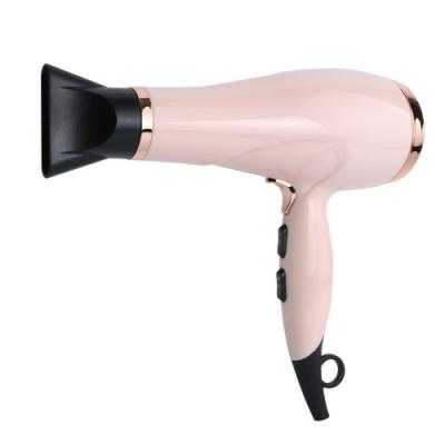 China DC 1875W Professional Ionic Motor Tourmaline Ionic Ceramic Hair Dryer for sale