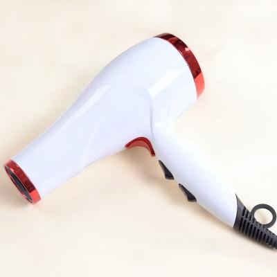 China Ionic Hair Dryer Custom Professional Salon Commercial Ionic Hair Dryer With Diffuser for sale