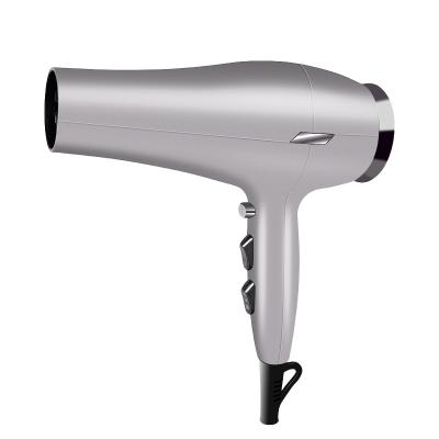 China Wholesale best professional hair dryer ionic hair dryer 2500w for hair beauty for sale