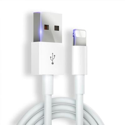 China For iPhone Charging USB Cable For iPhone 13 2.1A Fast USB Data Charging Cord For iPhone Charger Cable for sale