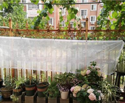 China Transparant PE Cloth Film Cover Shading Net House Pet Greenhouse Rainproof Waterproof Cloth Tarpaulin Yard Plants Succulent Cover for sale