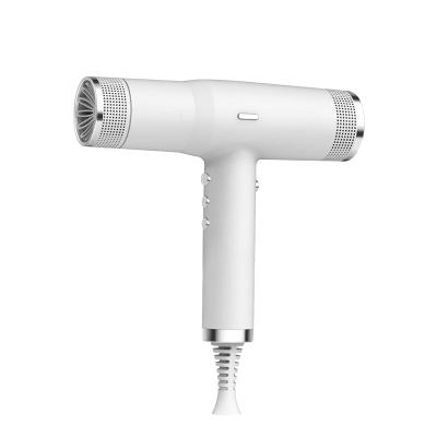 China Mini Supersonic Negative Ion Salon Bldc Private Label Hair Dryer Ionic Professional High Speed ​​Blow Dryer Electric Hair Dryer for sale