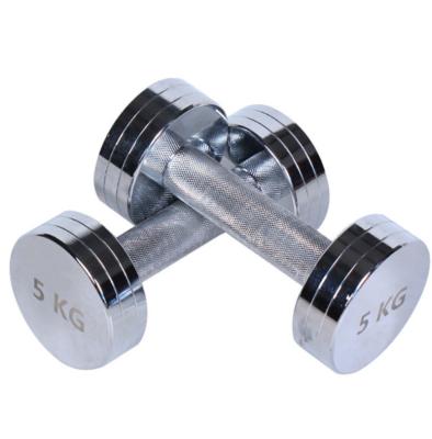 China Home Use MJ Fitness Hot Sale Stainless Steel Dumbells Silver Handle for sale