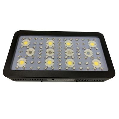 China Seed Starting Unique Design Timing COB 2400W LED Grow Light For VEG And Flower Grow Lighting By Clock for sale