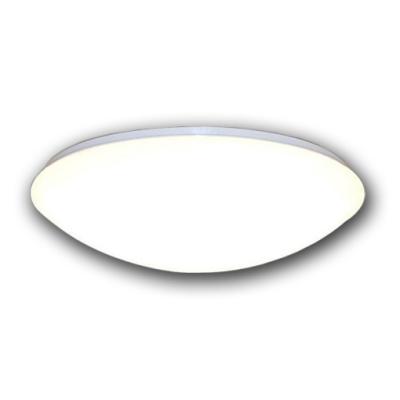 China 40W Dimmable LED Oyster Light Outdoor Mounted Round 500mm Large Size Ceiling Lamp for sale