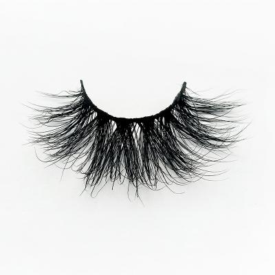 China New Style Product High Density Delicate Long Bushy 5D Eyelash Extension Custom Style for sale