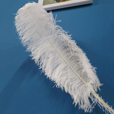 China Decorations Wholesale75-80cm white and colorful natural ostrich feathers for carnival costume for sale