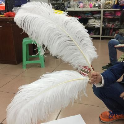 China New wedding decoration! 75-80cm party and wedding white and colorful artificial feathers ostrich lager carnival decoration feathers for sale